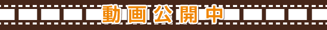 動画公開中