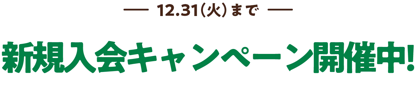 新規入会キャンペーン開催中！